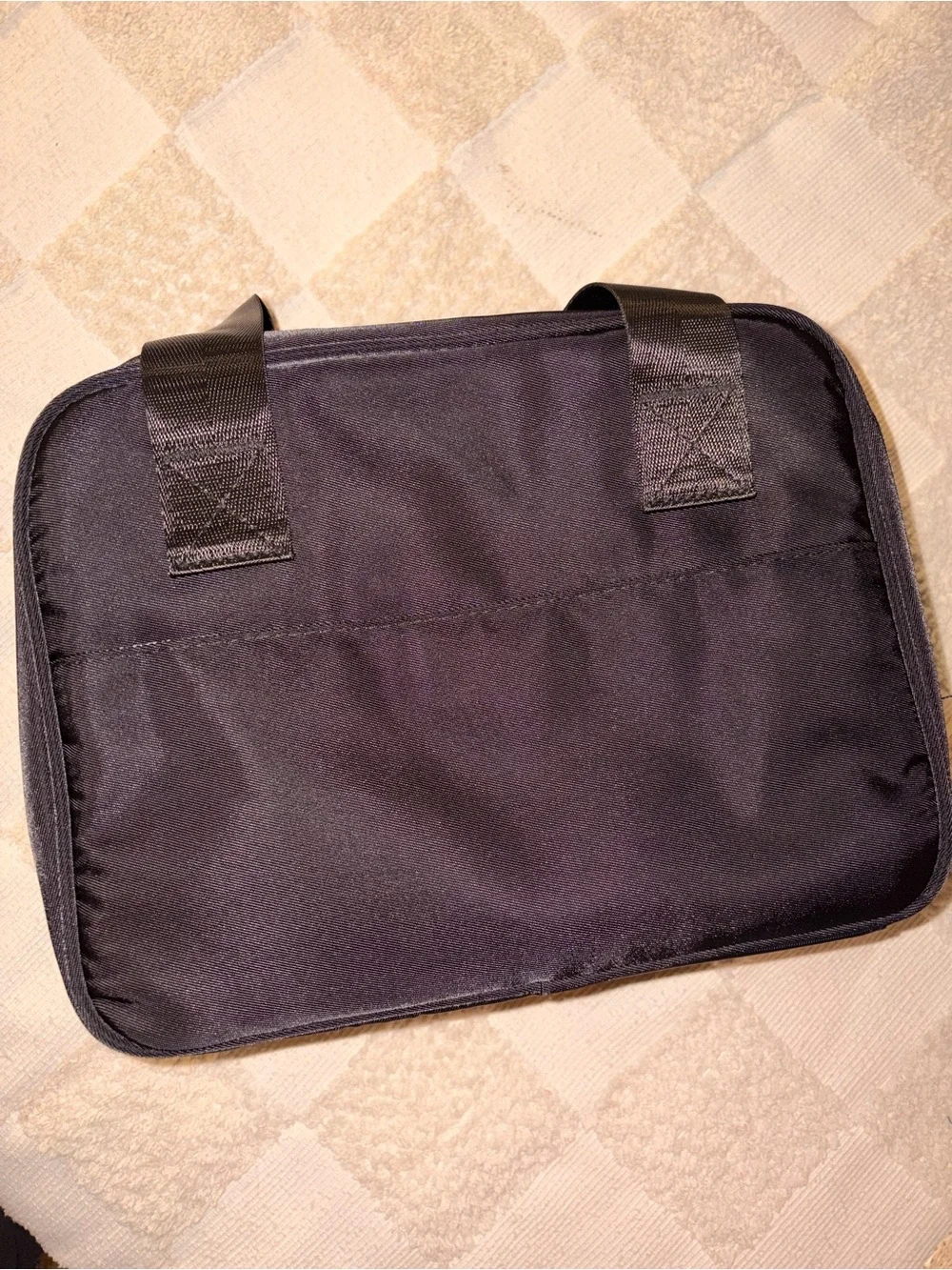 Portable cooler/pumping bag